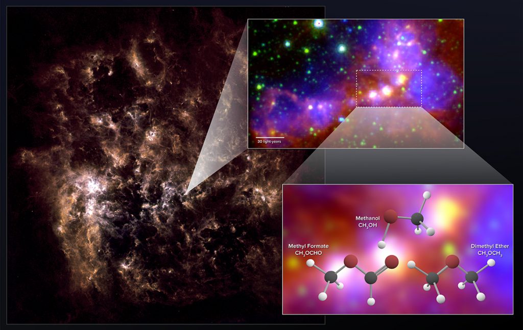 Stellar Embryos in Nearby Dwarf Galaxy Contain Surprisingly Complex Organic Molecules