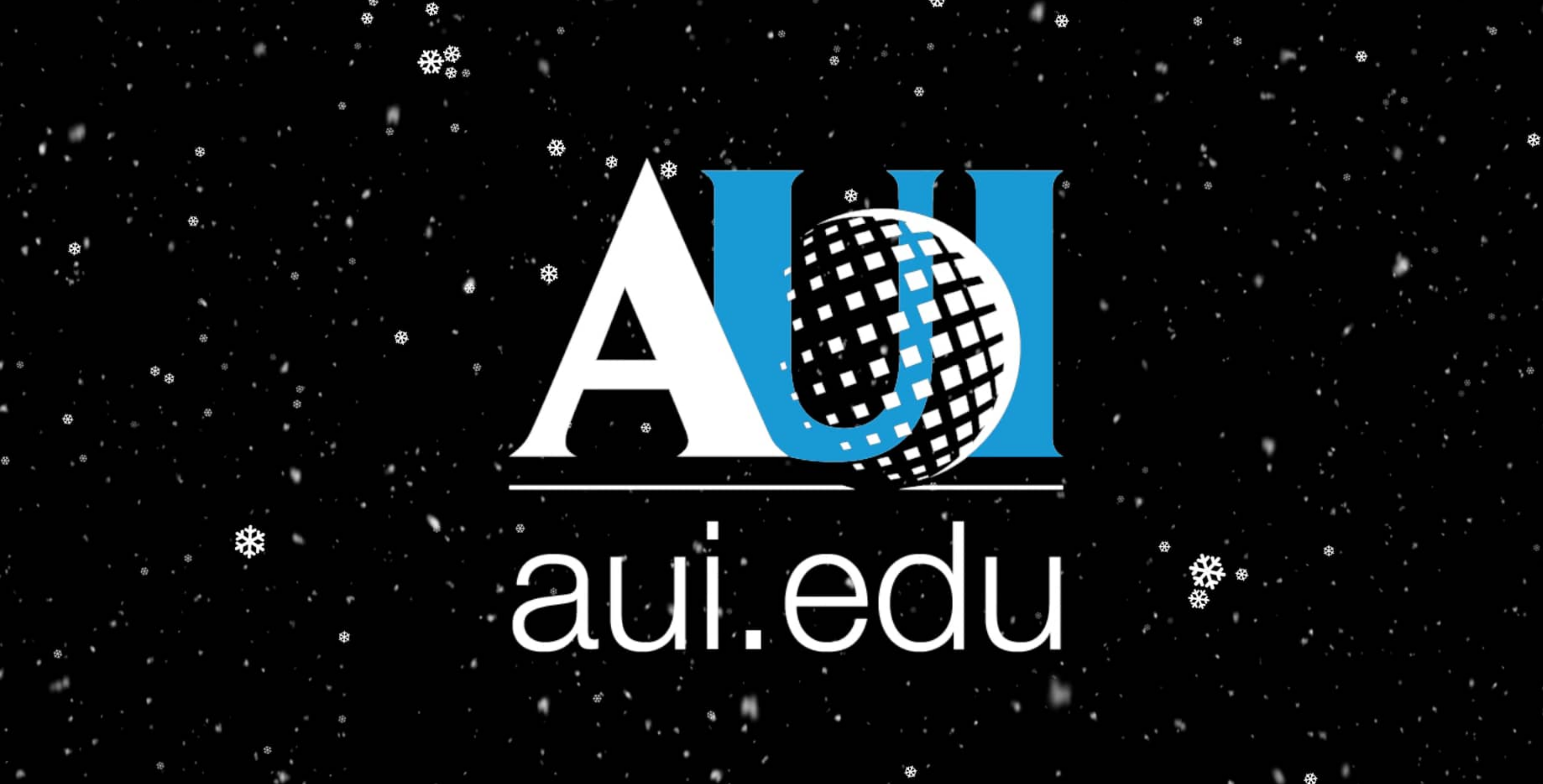 Happy New Year from AUI!
