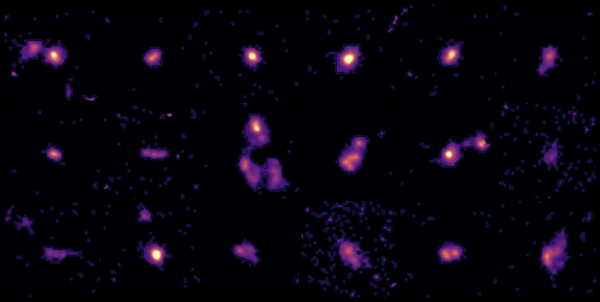 Young Galaxies Grow Up Fast