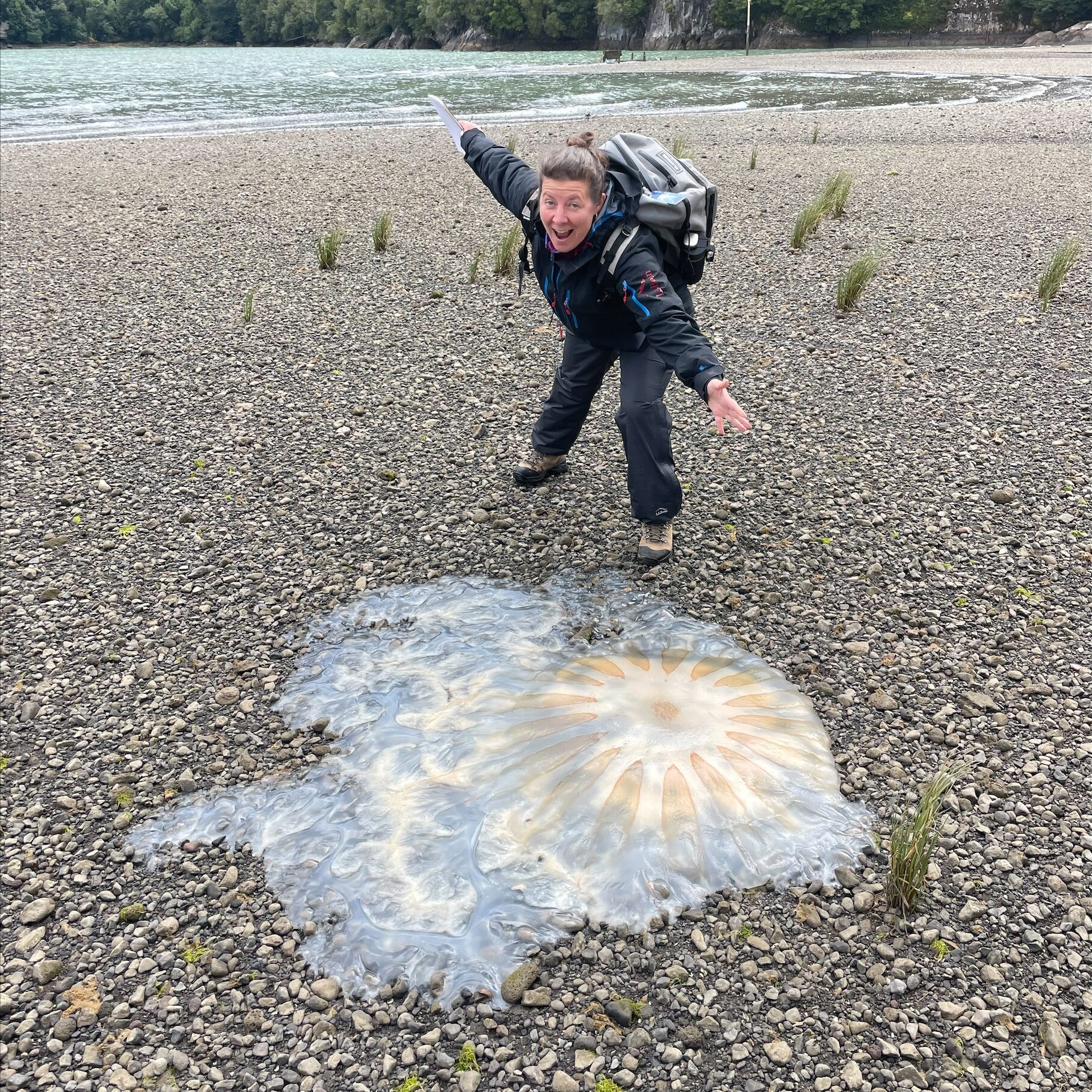 Anica Miller-Rushing leans down toward a massive, washed-up jellyfish with her arms stretched wide and her mouth open in awe.