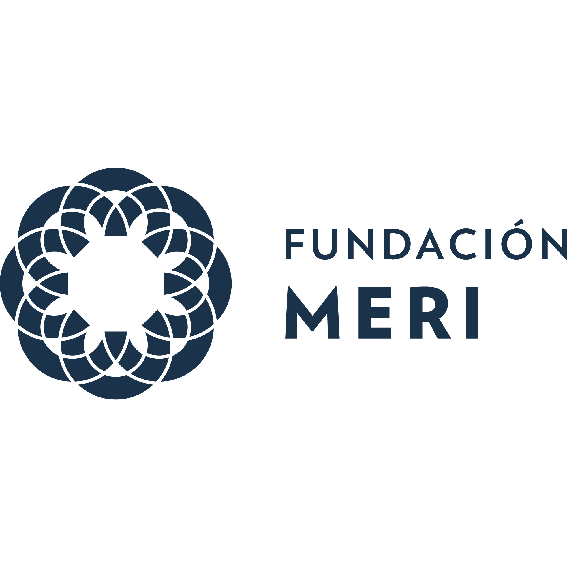 MERI Foundation logo